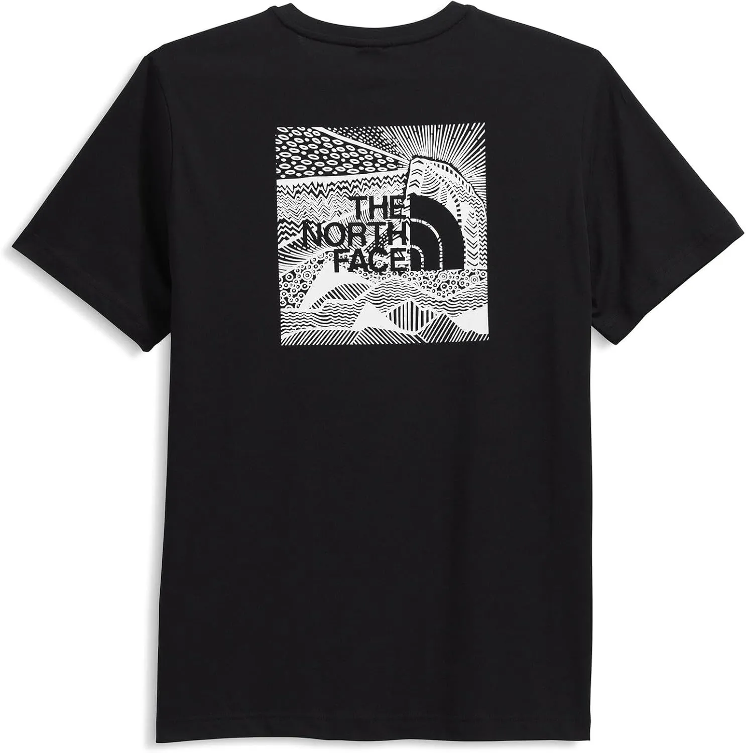 THE NORTH FACE Men's Short-Sleeve Box NSE Celebration Tee